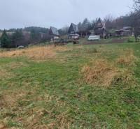 Pozemok na predaj - Vydrná - Rozľahlé rekreačné pozemky v Púchove s chatkami a zeleňou lemovanou stromami.