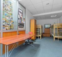 Showroom/kancelárie 357 m², Zadunajská cesta, Petržalka, BA - Interiér obchodných priestorov s poschodovými posteľami, stolom a televízorom na stene.