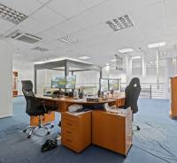 Showroom/kancelárie 357 m², Zadunajská cesta, Petržalka, BA - Kancelária v obchodných priestoroch s modrým kobercom a počítačmi na drevených stoloch.