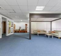 Showroom/kancelárie 357 m², Zadunajská cesta, Petržalka, BA - Obchodné priestory s modrým kobercom a bielymi koženými sedačkami na sedenie.