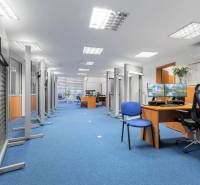 Showroom/kancelárie 357 m², Zadunajská cesta, Petržalka, BA - Kancelária s modrým kobercom, kancelárskym nábytkom a pracovnými miestami.