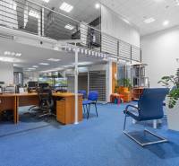 Showroom/kancelárie 357 m², Zadunajská cesta, Petržalka, BA - Obchodné priestory s modrým kobercom, kancelárskym nábytkom a rastlinami vo vnútri.