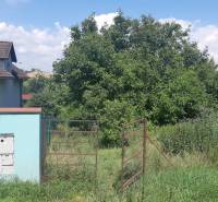 PREDAJ INVESTIČNÉHO POZEMKU V ŠENKVICIACH NA VÝSTAVBU RD - 2197 m2 - Pozemky - bývanie na Ružovej ulici v Šenkviciach, zahŕňajú bránu a zeleň.