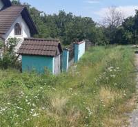 PREDAJ INVESTIČNÉHO POZEMKU V ŠENKVICIACH NA VÝSTAVBU RD - 2197 m2 - Trávnatý pozemok na Ružovej ulici v Šenkviciach s rodinným domom. Pozemky - bývanie.