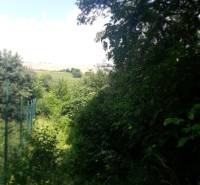 PREDAJ INVESTIČNÉHO POZEMKU V ŠENKVICIACH NA VÝSTAVBU RD - 2197 m2 - Pozemky - bývanie na Ružovej ulici v Šenkviciach, s hustou zeleňou a oplotením.