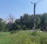 PREDAJ INVESTIČNÉHO POZEMKU V ŠENKVICIACH NA VÝSTAVBU RD - 2197 m2 - Pozemok na bývanie na Ružovej ulici v Šenkviciach s hustou vegetáciou a elektrickým stĺpom.