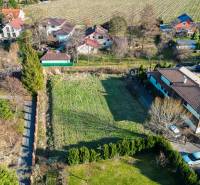  SP V LIMBACHU - 1310 m2 - SO ST.POVOLENÍM A PROJEKTOM V CENE - Na ulici Družstevná sú pozemky na bývanie obklopené zeleňou, domami a cestou.