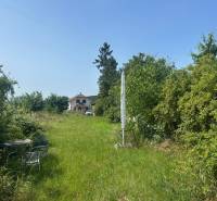 ATRAKTÍVNÝ SP VO SVATOM JURE 1088 m2 - Zeleň a kroviny v Svätom Jure na ulici Zuby s výhľadom na dom, Pozemky - bývanie.