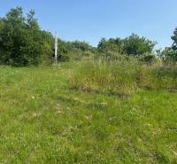 ATRAKTÍVNÝ SP VO SVATOM JURE 1088 m2 - Trávnatý pozemok na bývanie obklopený zeleňou na ulici Zuby v Svätom Jure.