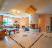 ,,,EXKLUZÍVNE,,,PREDAJ PRIESTRANNÉHO 5 IZB.RD V PEZINKU / LIMBACH - Obývačka rodinného domu so sedačkou, krbom a rastlinami na podlahe.