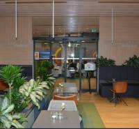 PRENÁJOM NEB.PRIESTORU V POLYFUNKČNOM DOME V CENTRE PEZINKA - Na ulici Moyzesova, obchodné priestory plné zelene, drevených prvkov a pohodlných kresiel.