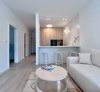 NUERA︱NOVÝ RUŽINOV - kompletne zariadený 2-izbový apartmán so záhradou - Obývačka v 2-izbovom byte s pohovkou, kuchynským pultom a podlahou s dreveným dekorom.