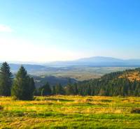 Zábiedovo – 11.650 m2 ORNÁ PÔDA a LES - Zábiedovo: Poľnohospodárske a lesné pozemky so stromami a rozľahlými lúkami na pozadí kopcov.