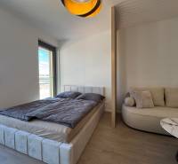 Prenájom 1-izbový byt s balkónom, METROPOLIS, Bratislava- Staré Mesto - Spálňa 1-izbového bytu s posteľou, pohovkou a podlahou s dreveným dekorom.