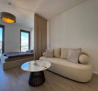 Prenájom 1-izbový byt s balkónom, METROPOLIS, Bratislava- Staré Mesto - Obývačka s pohovkou, konferenčným stolíkom a posteľou v 1-izbovom byte s podlahou s dreveným dekorom.