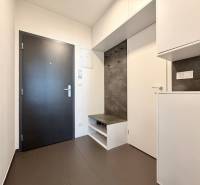 Na predaj 2-izbový byt v novostavbe s parkingom, Na pažiti, Trenčín - Vstupná hala v 2-izbovom byte s tmavými dverami a úložnými skrinkami.