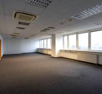 Kancelárie na prenájom: od 20m2 | Jarabinková ulica - Prázdne kancelárie s kobercom, veľkými oknami a stropným osvetlením.