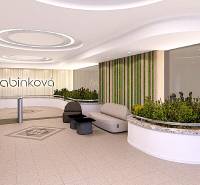 Kancelárie na prenájom - od 20m2 | Jarabinková ulica - Recepcia kancelárií s osvetlením a rastlinami, Jarabinková.