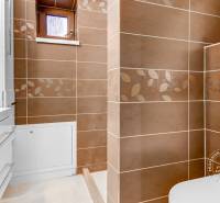 2-izb. byt v RD, TERASA, BA IV Dúbravka, Tavarikova Osada - Kúpeľňa v 2-izbovom byte so sprchovacím kútom a umývadlom, obložená kachličkami s listovým vzorom.