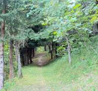 Chata pred dokončením, pozemok 770 m2, Horná Maríková - Lesná cesta v Hornej Marikovej vedúca cez hustý stromový porast.
