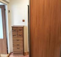 Prenájom 1-izbového bytu s energiami, Martin - Jahodníky - Vstupná chodba 1-izbového bytu s úložným priestorom a dlažbou.