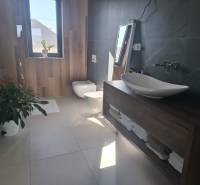 Moderný rodinný dom so záhradou, bazénom a nadštandardným priestorom - Kúpeľňa v rodinnom dome s vaňou, umývadlom, bidetom a dekoratívnou zeleňou.