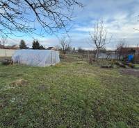 Pozemok na stavbu domu v Pate – 811 m² - bez rezervačnej zálohy - Záhrada v Pate s fóliovníkom a drevinami, vhodná pre pozemky - bývanie.