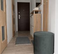 NOVINKA - Priestranných 74 m² v štýlovo zariadenom byte - Chodba v 3-izbovom byte s podlahou s dreveným dekorom, so zrkadlom a úložným priestorom.