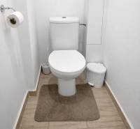 NOVINKA - Priestranných 74 m² v štýlovo zariadenom byte - Toaleta v 3-izbovom byte s podlahou s dreveným dekorom.