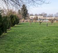 NOVINKA - Priestranných 74 m² v štýlovo zariadenom byte - Zeleň a stromy na Školskej ulici vo Vinosadoch, blízko trojizbového bytu.