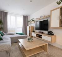 NOVINKA - Priestranných 74 m² v štýlovo zariadenom byte - Obývacia izba v 3-izbovom byte s podlahou s dreveným dekorom, pohovkou a televízorom.