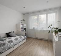 NOVINKA - Priestranných 74 m² v štýlovo zariadenom byte - Svetlá izba s posteľou, rastlinou a podlahou s dreveným dekorom v 3-izbovom byte.