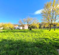 ‼️ PARTIZÁNSKE - 3,5 IZBOVÝ BYT NA PREDAJ, VEĽKÁ OKRUŽNÁ ‼️ - Park s trávnatou plochou a stromami v meste Partizánske na Veľkej Okružnej.
