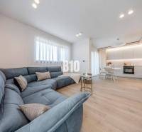 LUXUSNÝ 3-IZBOVÝ BYT NA MIERU V NADČASOVEJ NOVOSTAVBE NA ZAČIATKU KOLI - Obývacia izba s veľkou sedačkou a kuchynským kútom, podlaha s dreveným dekorom.