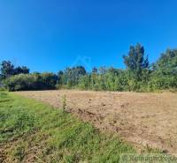 Stavebný pozemok pri Nitre so stavebným povolením v tichej lokalite - Pozemok v Hosťovej na bývanie obklopený zeleňou a modrou oblohou.