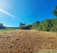 Stavebný pozemok pri Nitre so stavebným povolením v tichej lokalite - Zeleň a lúka na pozemku pre bývanie v Hosťovej pod modrou oblohou.