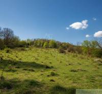 Vaša vlastná oáza na lazoch: Pozemok s dušou a krásnym výhľadom - Zelený svah s rozptýlenými stromami a modrou oblohou v okolí Krupiny, ideálny pre Pozemky - bývanie.