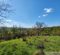 Vaša vlastná oáza na lazoch: Pozemok s dušou a krásnym výhľadom - Krajina v Krupine s rozkvitnutou lúkou vhodná na pozemky - bývanie s panoramatickým výhľadom.