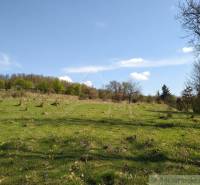 Vaša vlastná oáza na lazoch: Pozemok s dušou a krásnym výhľadom - Lúka v Krupine pre Pozemky - bývanie, s kvetmi a udržiavanou zeleňou.