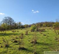 Vaša vlastná oáza na lazoch: Pozemok s dušou a krásnym výhľadom - Svieža lúka s riedkymi stromami na pozemkoch pre bývanie v Krupine.