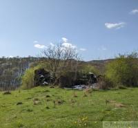 Vaša vlastná oáza na lazoch: Pozemok s dušou a krásnym výhľadom - Zeleň a krajina s ruinami v Krupine, vhodná na Pozemky - bývanie.