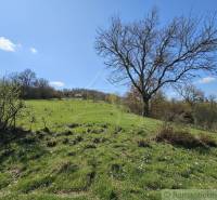 Vaša vlastná oáza na lazoch: Pozemok s dušou a krásnym výhľadom - Zeleň s kvetmi a stromami na pozemkoch pre bývanie v okolí Krupiny.