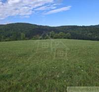 Veľký pozemok v srdci prírody pri Hornom Tisovníku - Zelená lúka obklopená lesmi v Hornom Tisovníku, ideálna pre pozemky - bývanie.