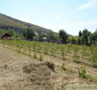 CENA DOHODOU Menší domček v príjemnom prostredí obce Šiatorská Bukovin - Kopcovitá krajina s viničom a rodinným domom v Šiatorskej Bukovinke.