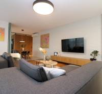 NUERA︱Penthouse s terasou s krásnymi výhľadmi v Dúbravke - Obývacia izba v 4-izbovom byte s podlahou v drevenom dekore, sivou sedačkou a rastlinami.