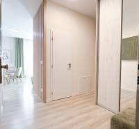 Na predaj 3 izbový byt s terasou, Trenčín, ul. Saratovská - Vstupná chodba s podlahou s dreveným dekorom a jedálenským kútom v 3-izbovom byte.