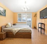 Na predaj 4-izb. rodinný dom s garážou, Okoč - Spálňa v rodinnom dome s posteľou, televízorom a podlahou s dreveným dekorom.