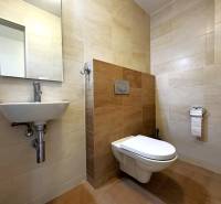 Na predaj veľký 2-izbový byt s terasou a wellness - Koliba - Kúpeľňa s umývadlom a závesným WC v 2-izbovom byte.