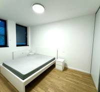 Budova s 8 apartmánmi alebo medicínske centrum - Spálňa s posteľou, vedľa sú dve okná, zasahuje sem umelý osvetlenie stropným svietidlom.