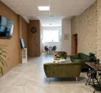 Prenájom klimatizovaná kancelária: 25 m2 a 42 m2 - Trnava Chovateľská - Kancelárie s pohodlným sedením, rastlinou a televíziou, podlaha s dreveným dekorom.